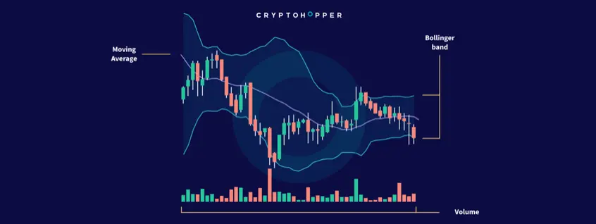 Technical Analysis 101 | What Are The 4 Types Of Indicators?