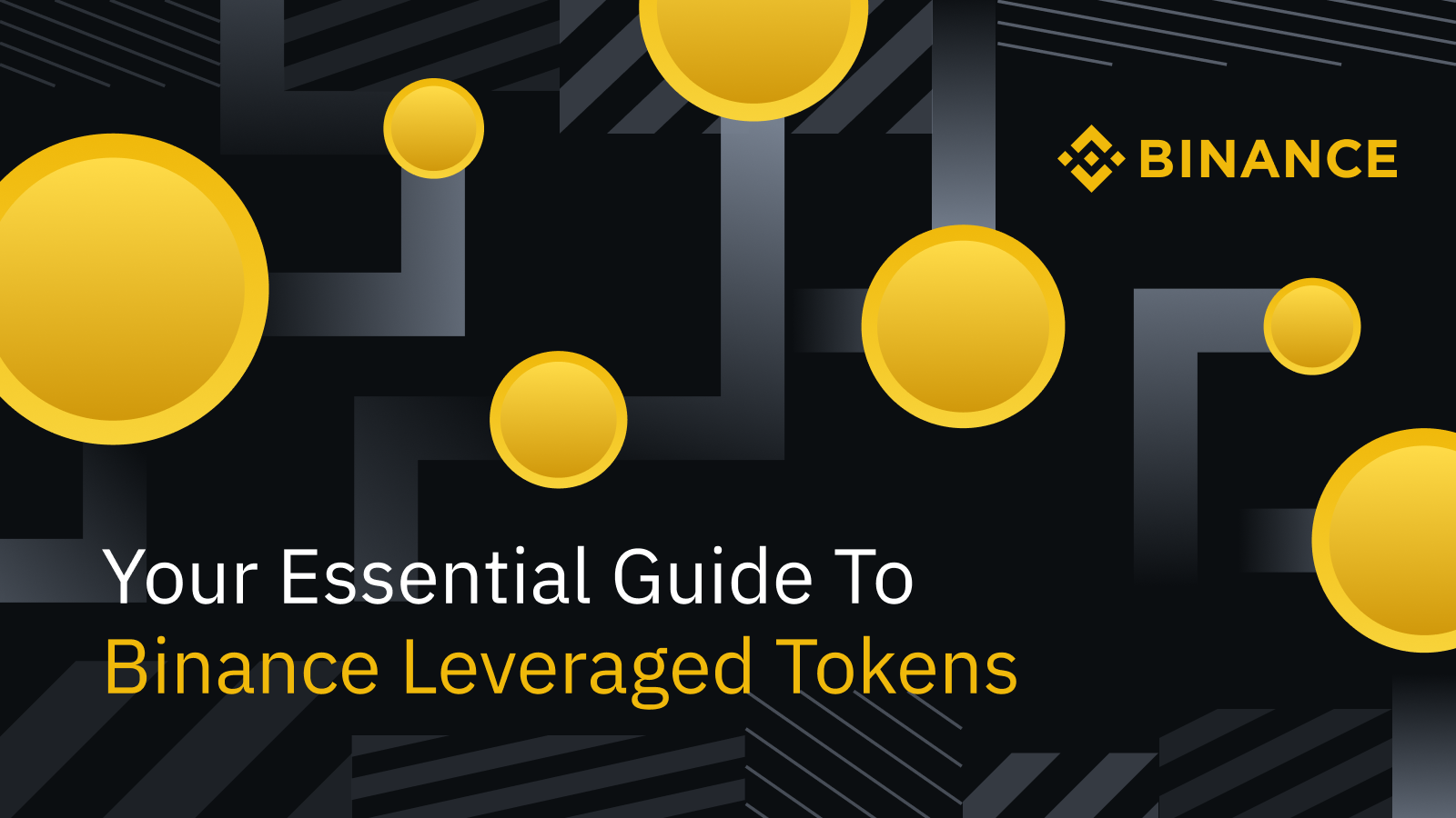 Your Essential Guide To Binance Leveraged Tokens