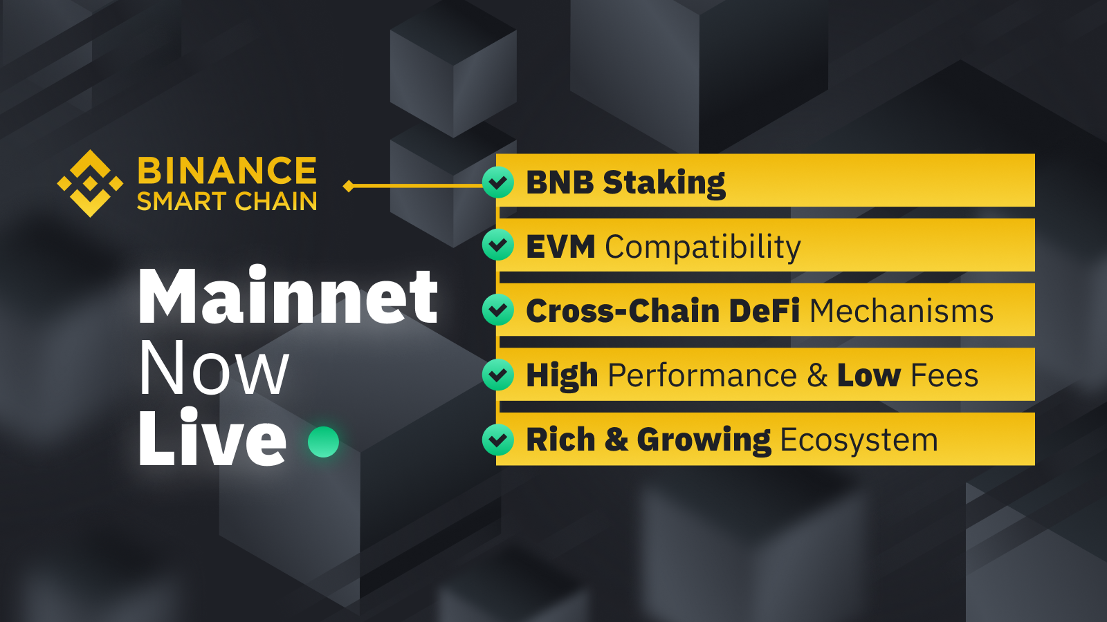 binance chain news