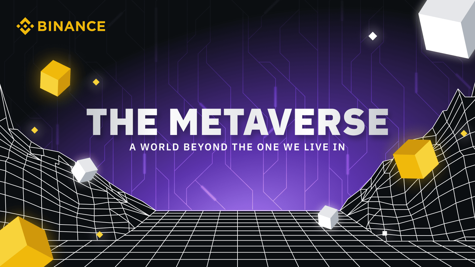 The Metaverse - A World Beyond The One We Live In