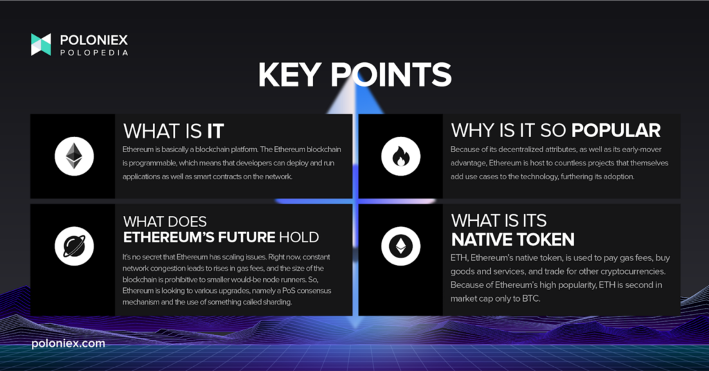 Key points graphic explaining the main takeaways of the “” explainer article. These points are also covered in the body text of the article.