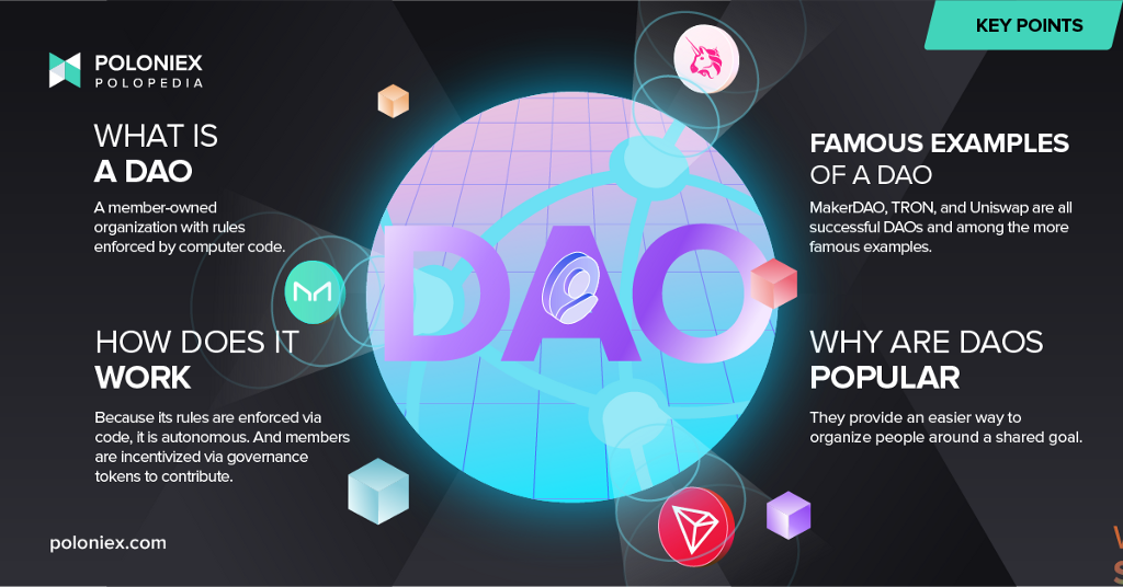 Key points covering, what is a DAO, how it works, famous examples, and why DAOs are popular.