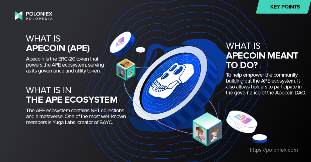 Key points graphic for “”. A planet-sized Apecoin token has various NFTs and other tokens orbiting around it.