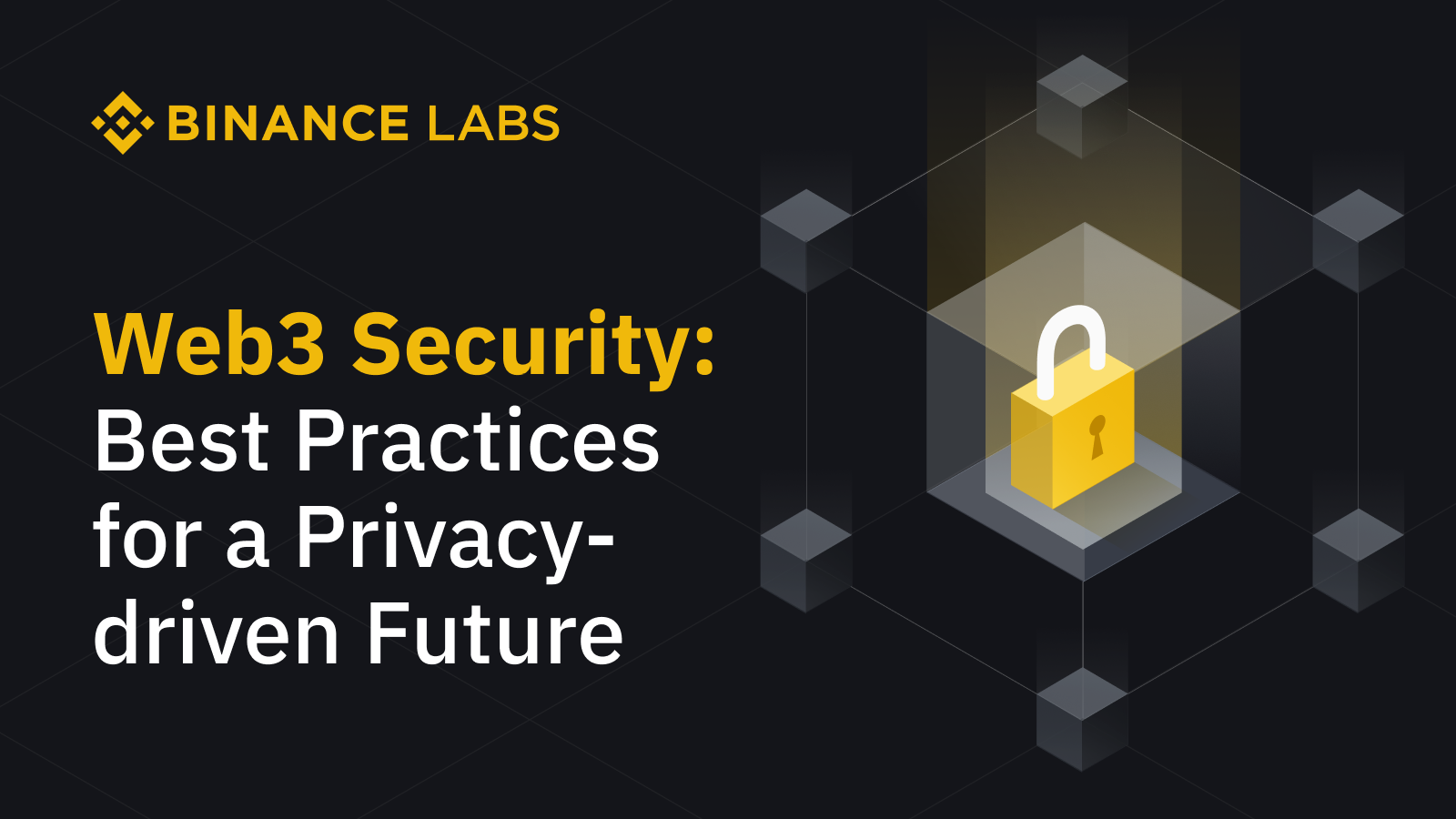 Web 3 Security: Best Practices for a Privacy-Driven Future